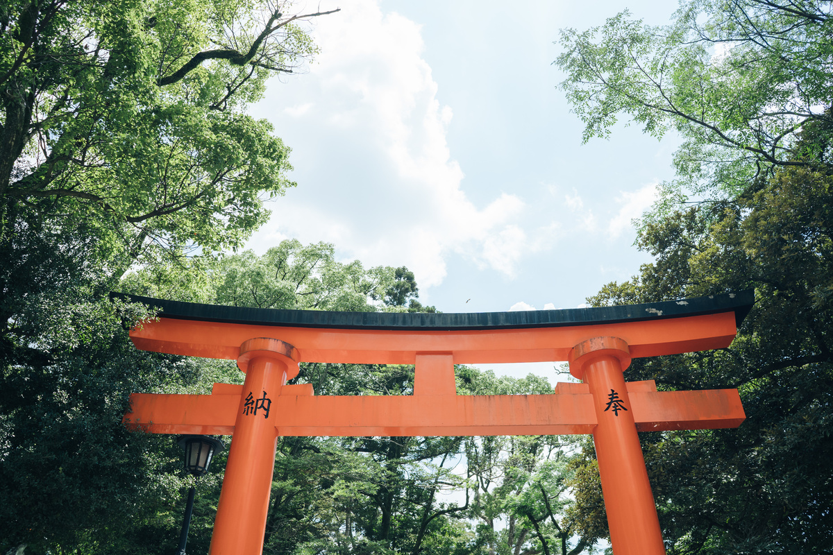 Japanese Torii and Trees at the Park